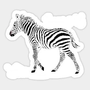 Bespoke Zebra on Black Sticker